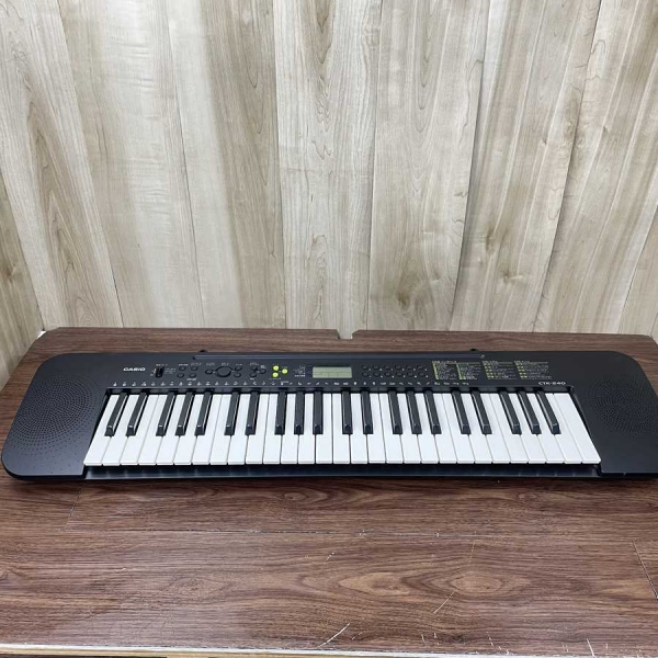 電子キーボード 【49鍵盤】  CASIO