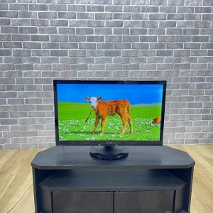 液晶テレビ 24インチ AQUOS[アクオス]