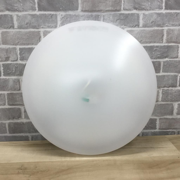 LEDシーリングライト 〜6畳 NEC (リモコン欠品)