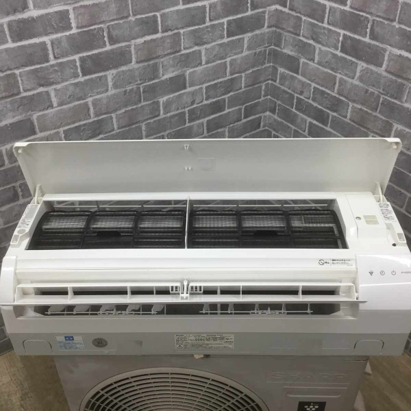 JAN 4974019949055