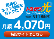 トミザワ光　ひかりコラボレーション